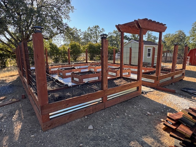 Completed garden pergola, daytime